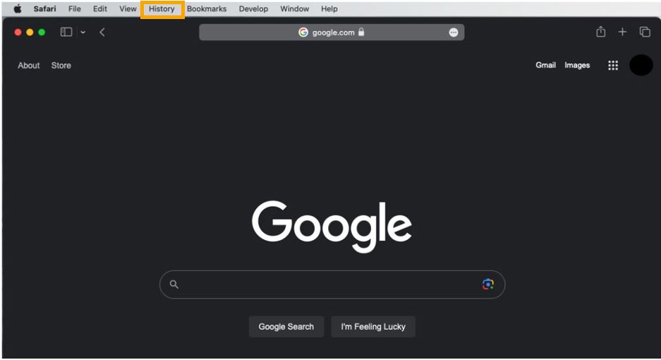 How do I view my browsing history and visited websites?