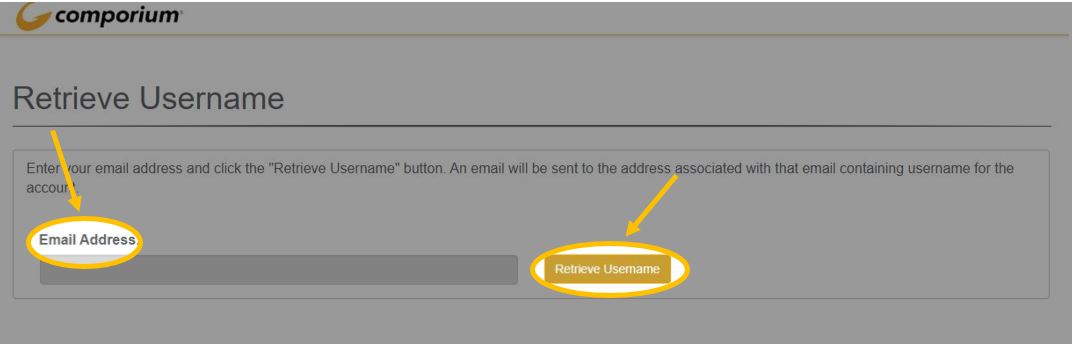 What Do I Do If I Forget My Username 
