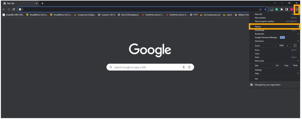 How do I view my browsing history and visited websites?